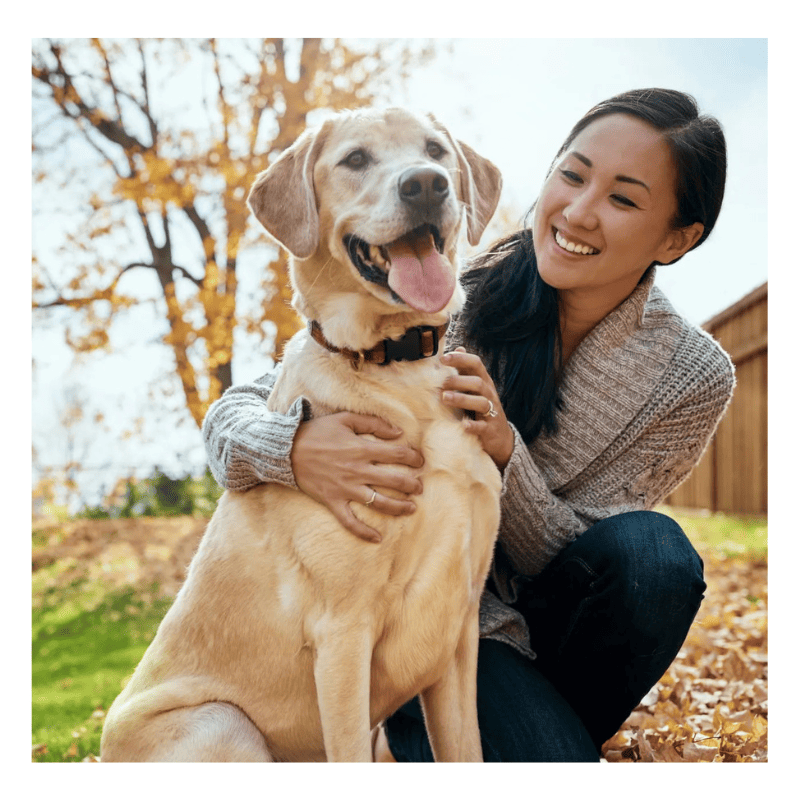 Pet Supplies